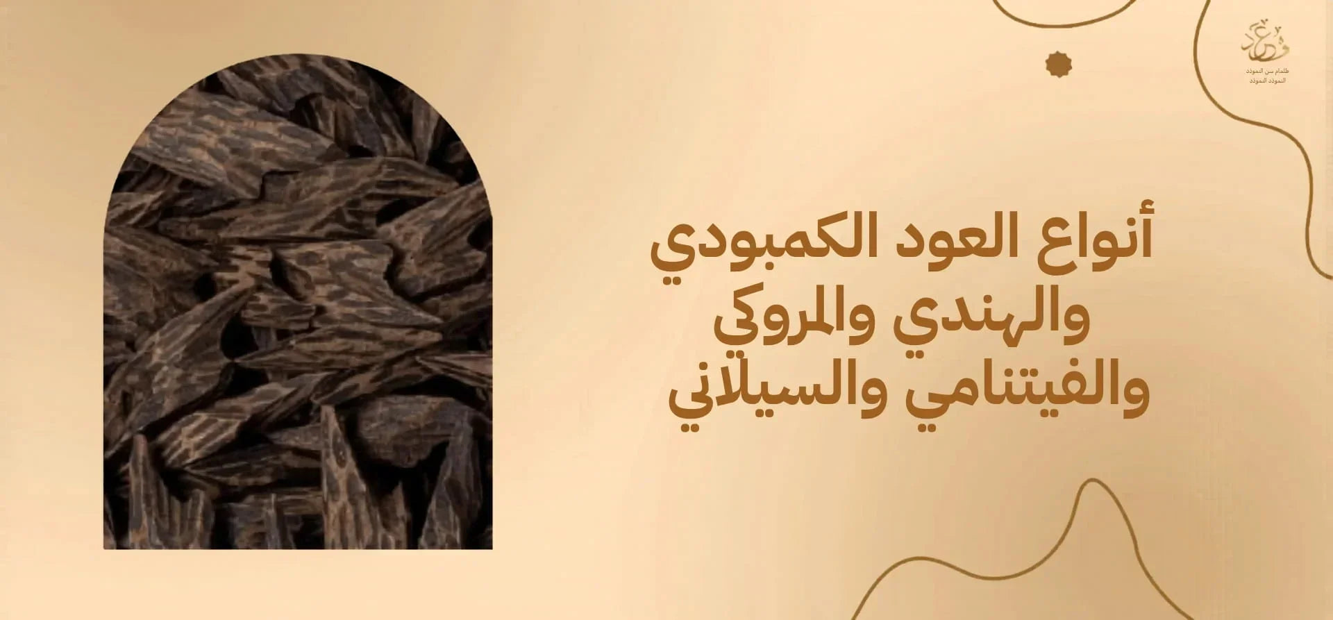 انواع العود