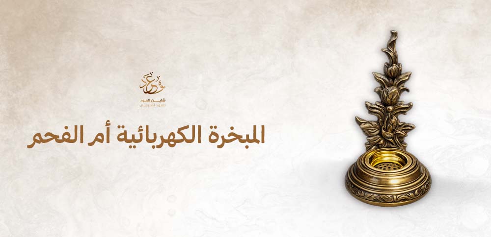 المبخرة الكهربائية أم الفحم