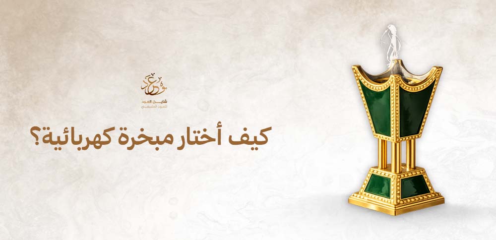 كيف أختار مبخرة كهربائية؟